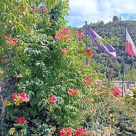 Picos De Europa And Hotell