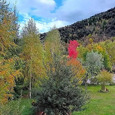 Picos De Europa And *