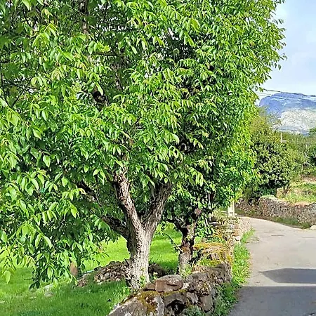 Picos De Europa And Hotell *